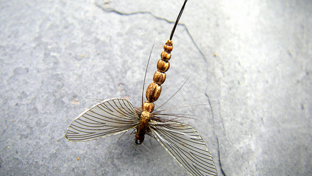 mouche de mai artificielle