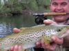Résumé d’une semaine de pêche … midgitée …