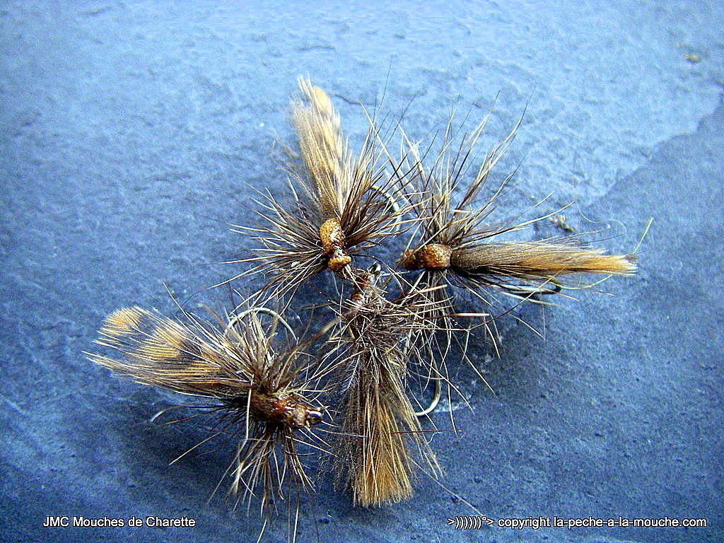 peche-a-la-mouche-sedge-cul-de-becasse-juillet2015-002