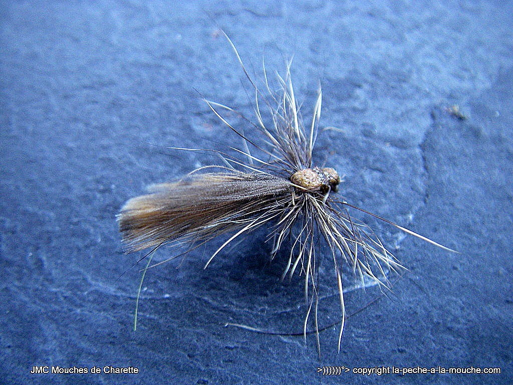 peche-a-la-mouche-sedge-cul-de-becasse-juillet2015-003