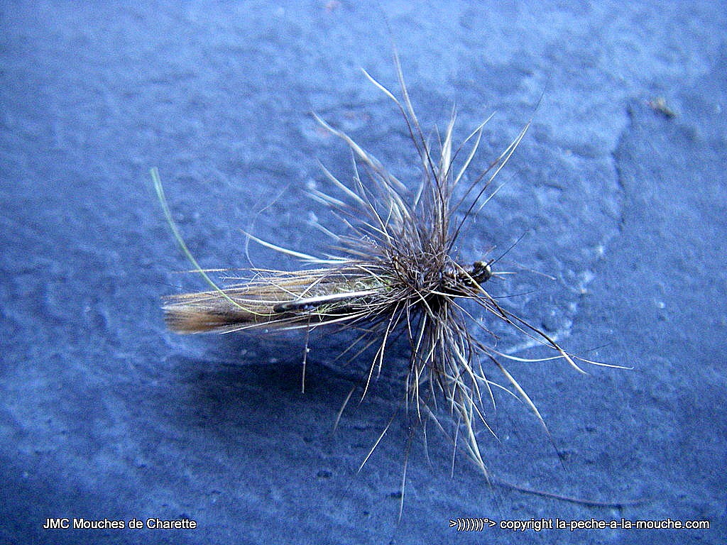 peche-a-la-mouche-sedge-cul-de-becasse-juillet2015-004