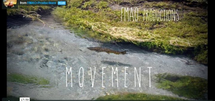 Photo d'une rivière dans une vidéo d’un trip pêche en Nouvelle Zélande