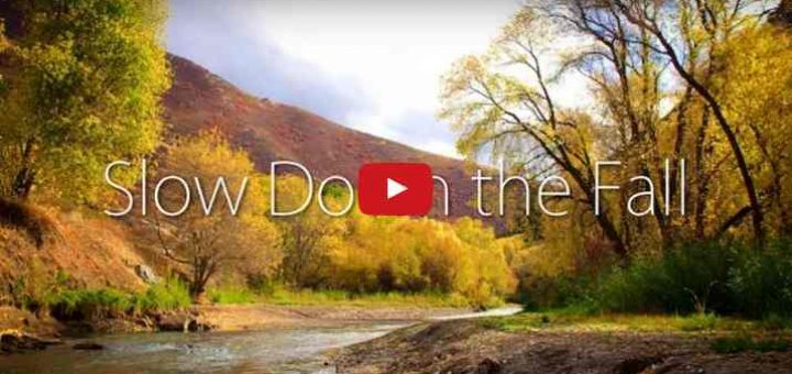 Photo tirée de la vidéo de pêche à la mouche dans l'Utah