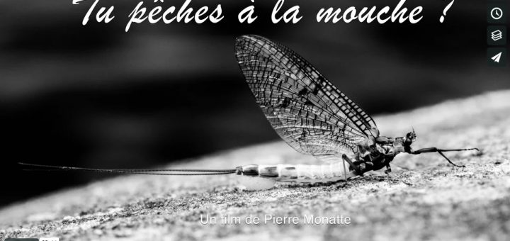Photo d'une éphémère mouche de mai dans le film -tu pêches à la mouche"