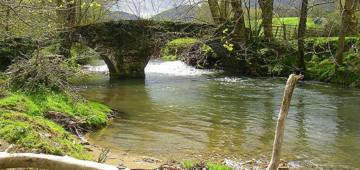 ouverture de la peche 2017 - photo d'un pont sur une riviere a truite