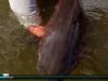 Une super vidéo de pêche au saumon …
