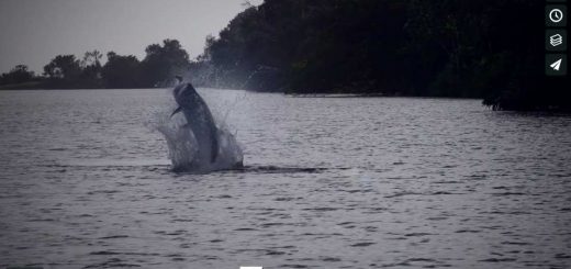 La pêche 3 4 télécharger