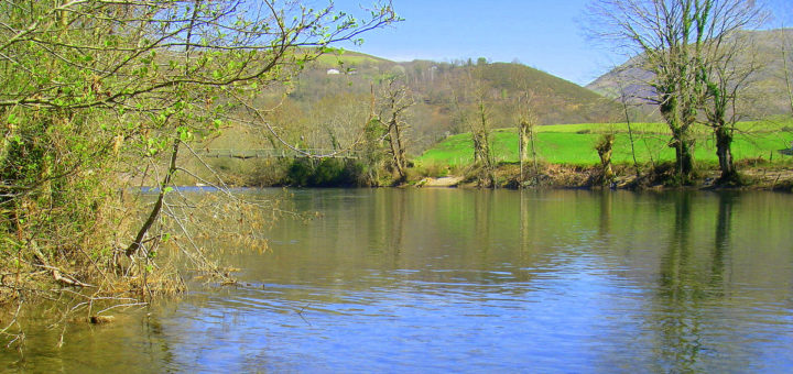 date ouverture de la pêche en 2019