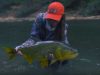 Pêcher à la mouche le Dorado en Bolivie avec Maddie … ça te dit ?