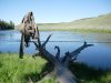 voyage de pêche à  la mouche dans le Montana