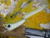 Ma mouche-popper : la crease fly