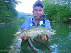 photo de pêche à la mouchetruite-47cm-17sept2014 photo de pêche à la mouche