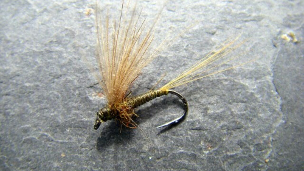montage mouche seche