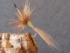 BANCA ROUSSE : “… une mouche fusion DEVAUX-DESSAIGNE …”