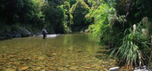 Prendre à bail létang pour la pêche payante à