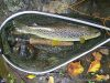 Partie de pêche de journée en bordure sur la Grande Nive