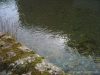 La Nive vous attend pour l’ouverture de la pêche