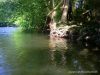 Bredouille active sur la Grande Nive