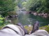 Fermeture sur la Nive