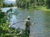 Trip pêche Montana 2012 : Et au milieu coule une rivière … la Gallatin river …